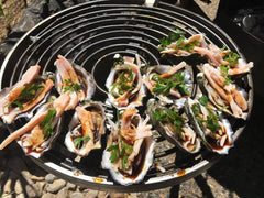 BBQ Swinging Hot Plate and Grill with Accessory Pack. Aussie Campfire Kitchens 100% Australian Made.