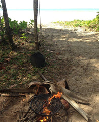 FOLDING GRILL with DROP IN HOT PLATE & HOOK Free Delivery $165