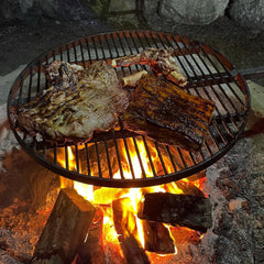 Big Swinging Hot Plate & Grill