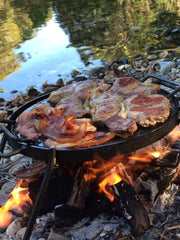 FOLDING GRILL with DROP IN HOT PLATE & HOOK Free Delivery $165