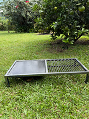 Parrilla on lawn