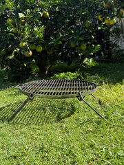 Portable grill on grass with a tree bearing fruit in the background