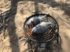 Folding BBQ. Grill with Drop in Plate & Hook.