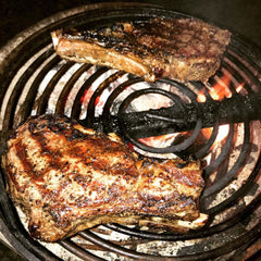 Swinging hot plate and grill cooking over campfire