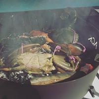 www.aussiecampfirekitchens.com Folding Fire Pit